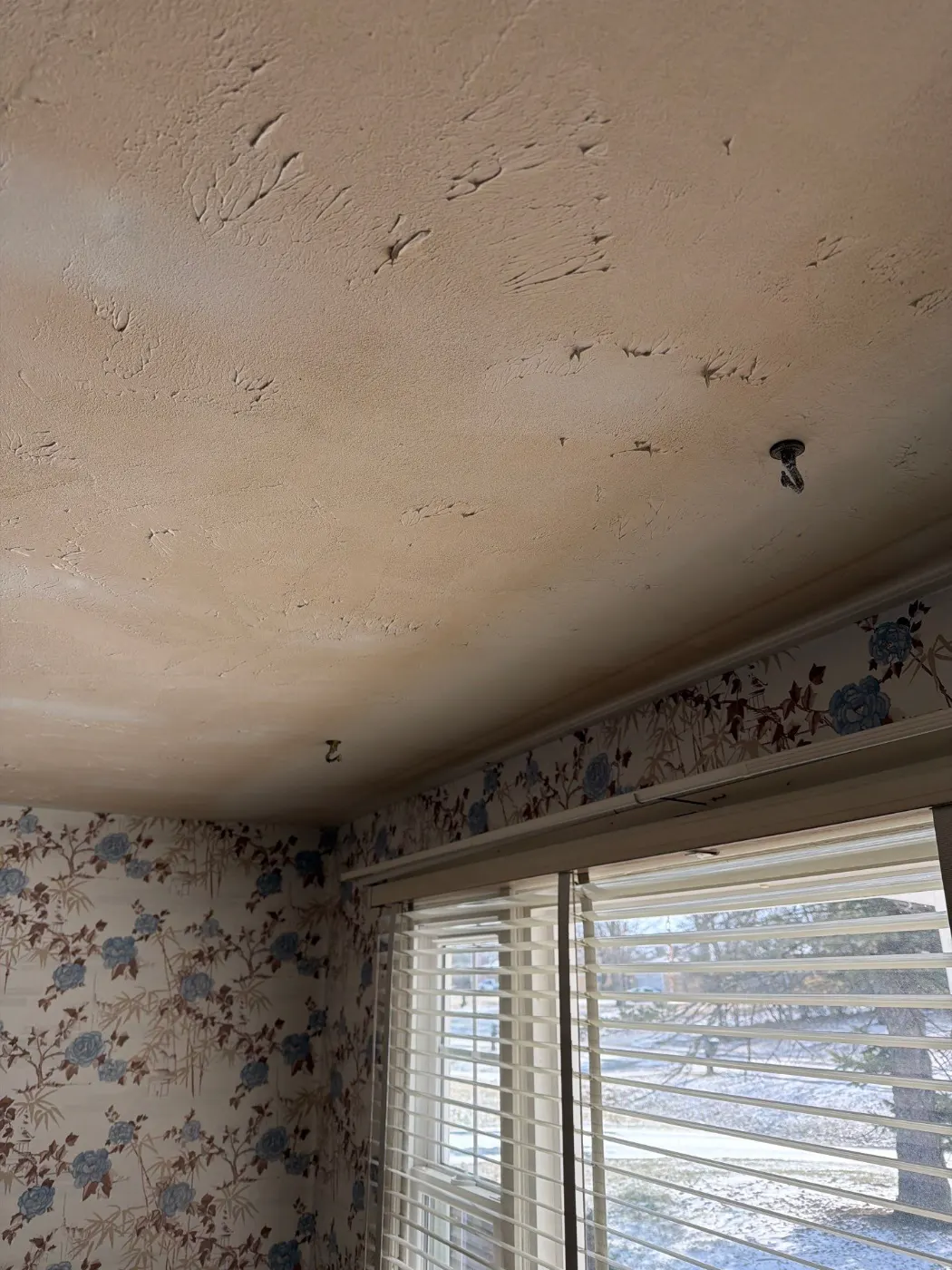 Air movers and dehumidifiers running in Forest Hills Indiana home dry-out